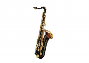 Тенор-саксофон "Yamaha", модель "YTS-875EXB//03" (Custom EX)