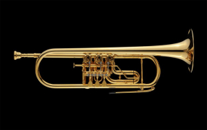 Труба in Bb "Schagerl", модель "Hans Gansch-Heavy" (Silver)