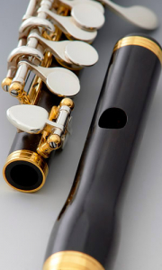 Флейта-пикколо "Bulgheroni", модель "601"