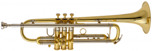 Труба in Bb "Thein", модель "MH-one"
