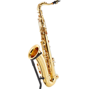 Тенор-саксофон "Yanagisawa", модель "Professional"