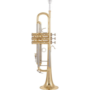 Труба in Bb "Bach", модель "180-25L"