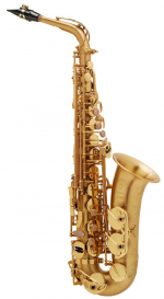 Альт-саксофон "Selmer-Paris", модель "SA80 II" матовый