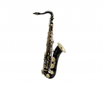 Альт-саксофон "Selmer-Paris", модель "SERIE III" желтый лак