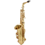 Альт-саксофон "Yanagisawa", модель "Professional"
