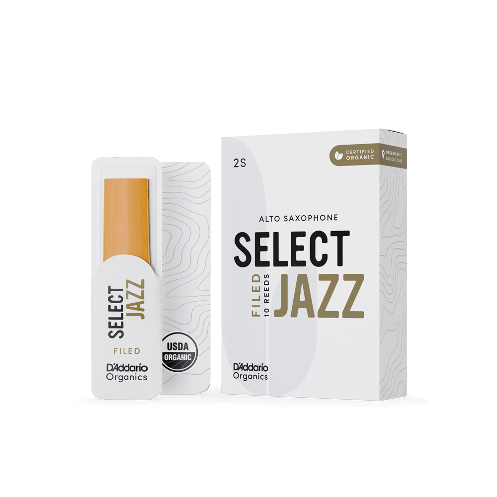 Трости для альта D'Addario Select Jazz Filed №2 Soft (1 шт) RSF10ASX2S