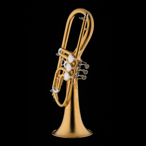 Флюгельгорн in Bb "Schagerl", модель "Killer Queen" (Silver)
